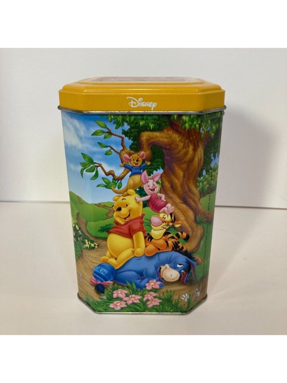 5/$25 Vintage Disney Winnie The Pooh Friends Collectors Series Tin Empty 7/12